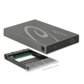 DeLOCK SATA HDD/SSD > USB 3.1 Gen 2  [42587]