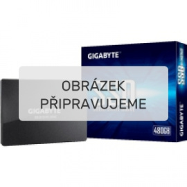 GIGABYTE SSD 480 GB black [GP-GSTFS31480GNTD]